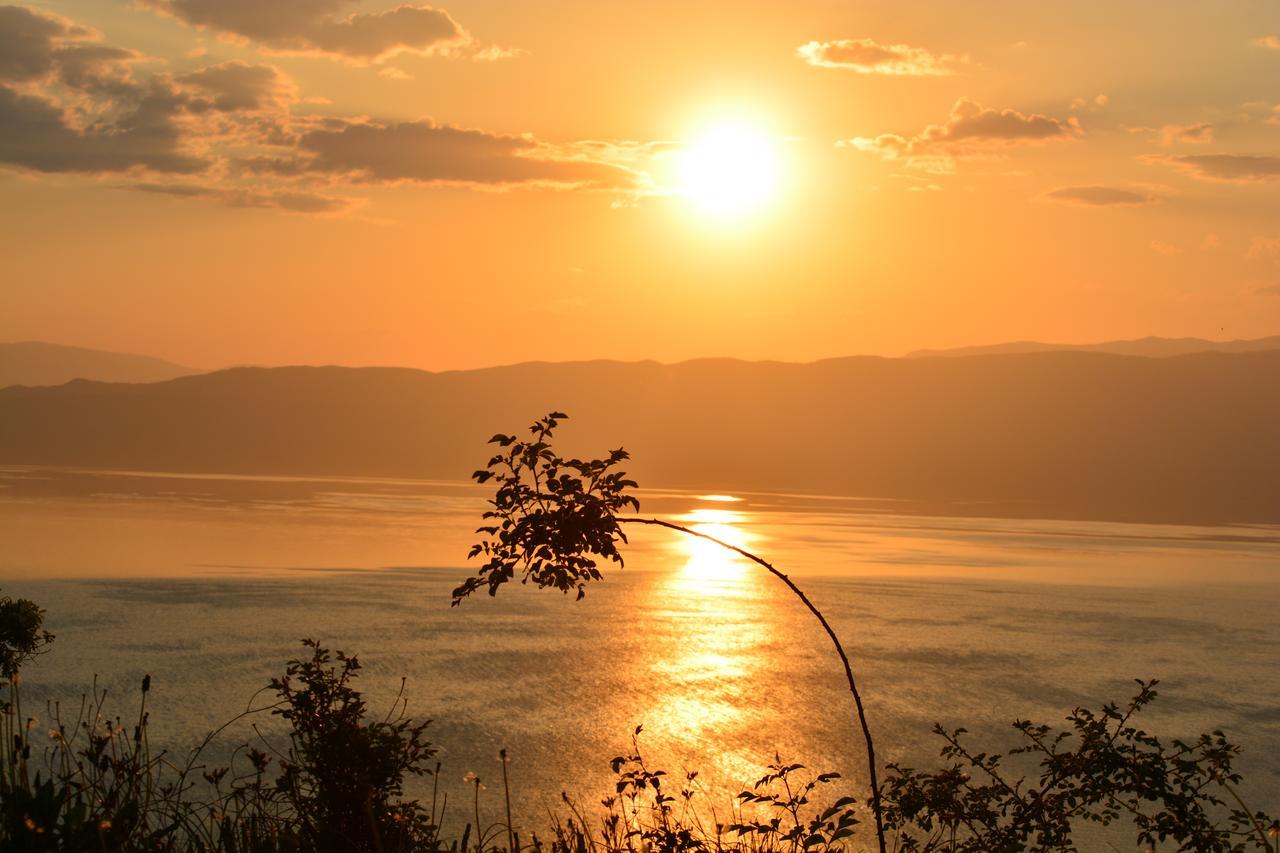 Paradise Nest Ohrid Exteriör bild